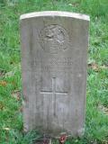 image of grave number 505689